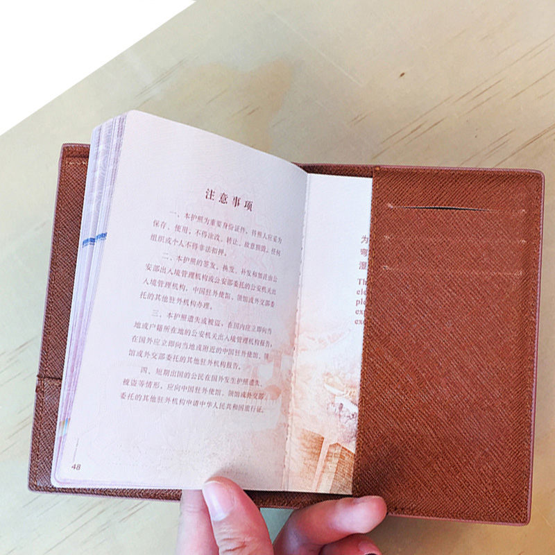 Custodia per passaporto carina - Card Case Minimalist recensione e prezzo