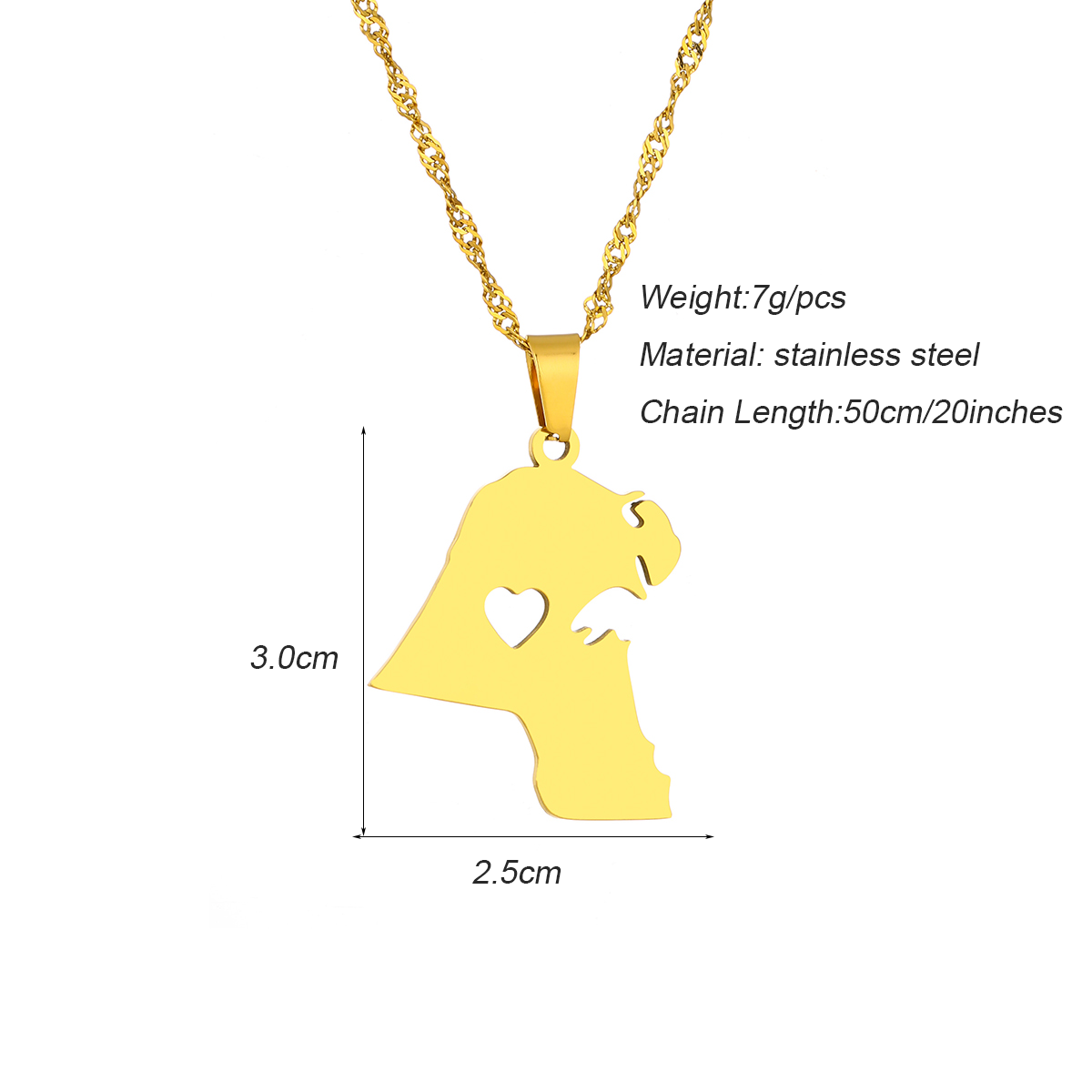 Collana con Pendente a Forma d - Men Accessories Kuwait recensione e prezzo